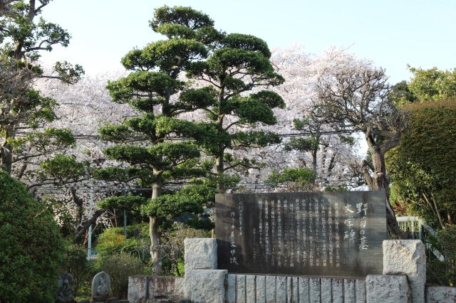 野菊の墓文学碑（西蓮寺）
