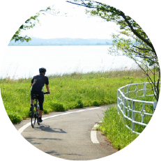 佐倉市サイクリング】西印旛沼周遊コース