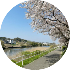 【千葉市サイクリング】花見川サイクリングコース