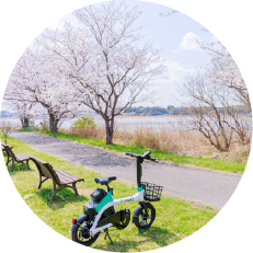 【我孫子市サイクリング】都市と自然を満喫コース