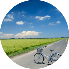 【香取市サイクリング】利根川と里山・歴史を感じるコース