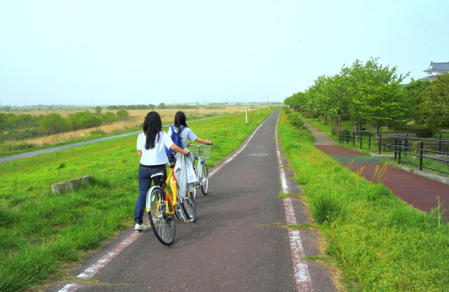 松戸野田関宿自転車道