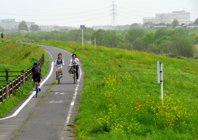 松戸野田関宿自転車道