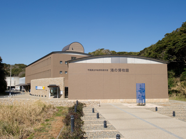 千葉県立中央博物館分館　海の博物館