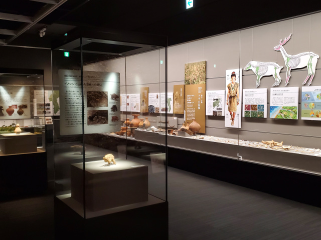 市原歴史博物館