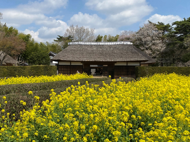 千葉県立房総のむら