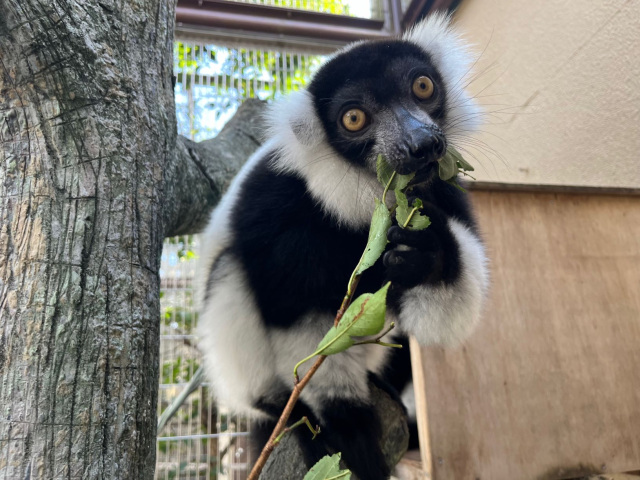 市川市動植物園