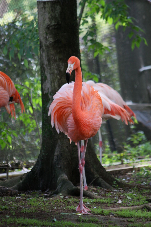 市川市動植物園