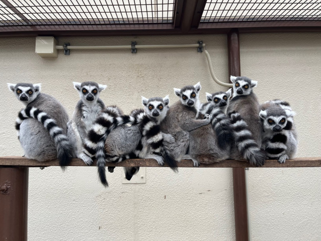 市川市動植物園