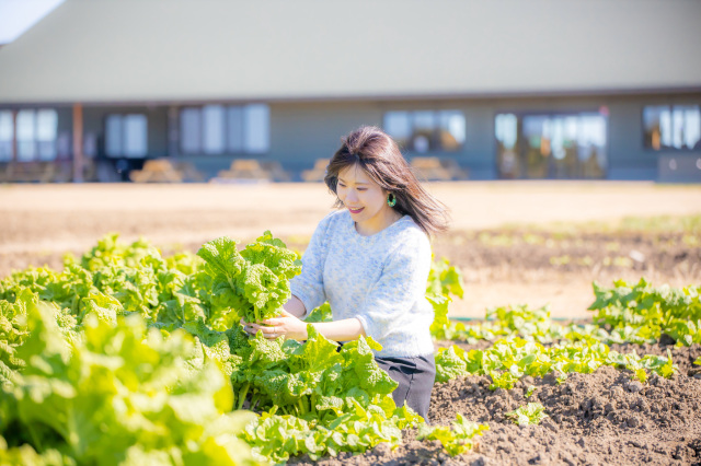 グリーンファーム館山　菜の花摘み体験