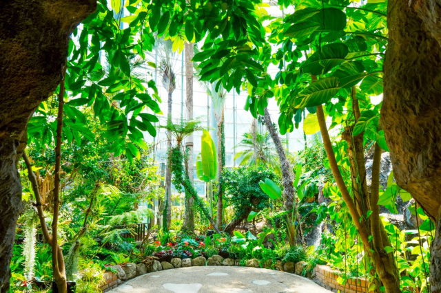 昼営業時のBOTANICARIUM（温室）
