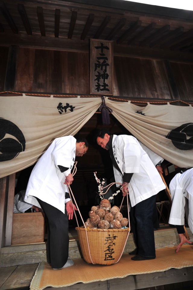 茂名の里芋祭り