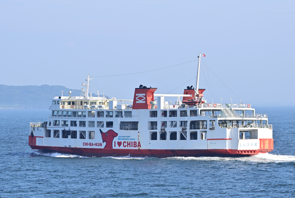 神奈川から房総半島まで、東京湾フェリーに乗って快適な船旅を！乗り方や魅力をわかりやすくレポート！