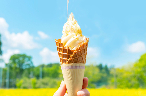千葉のソフトクリーム・アイスクリームおすすめ13選！
