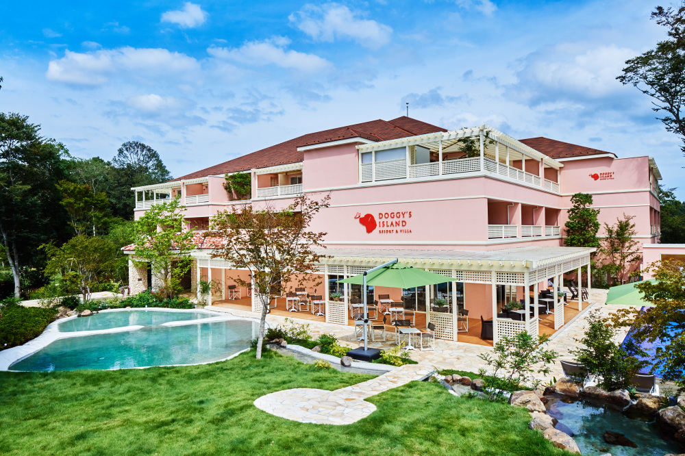 【小谷流の里 ドギーズアイランド】
愛犬と泊まれる!千葉の人気リゾート|完全ガイド