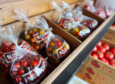 クーラーボックス必携！ “直売所天国”千葉で採れたてを巡ろう