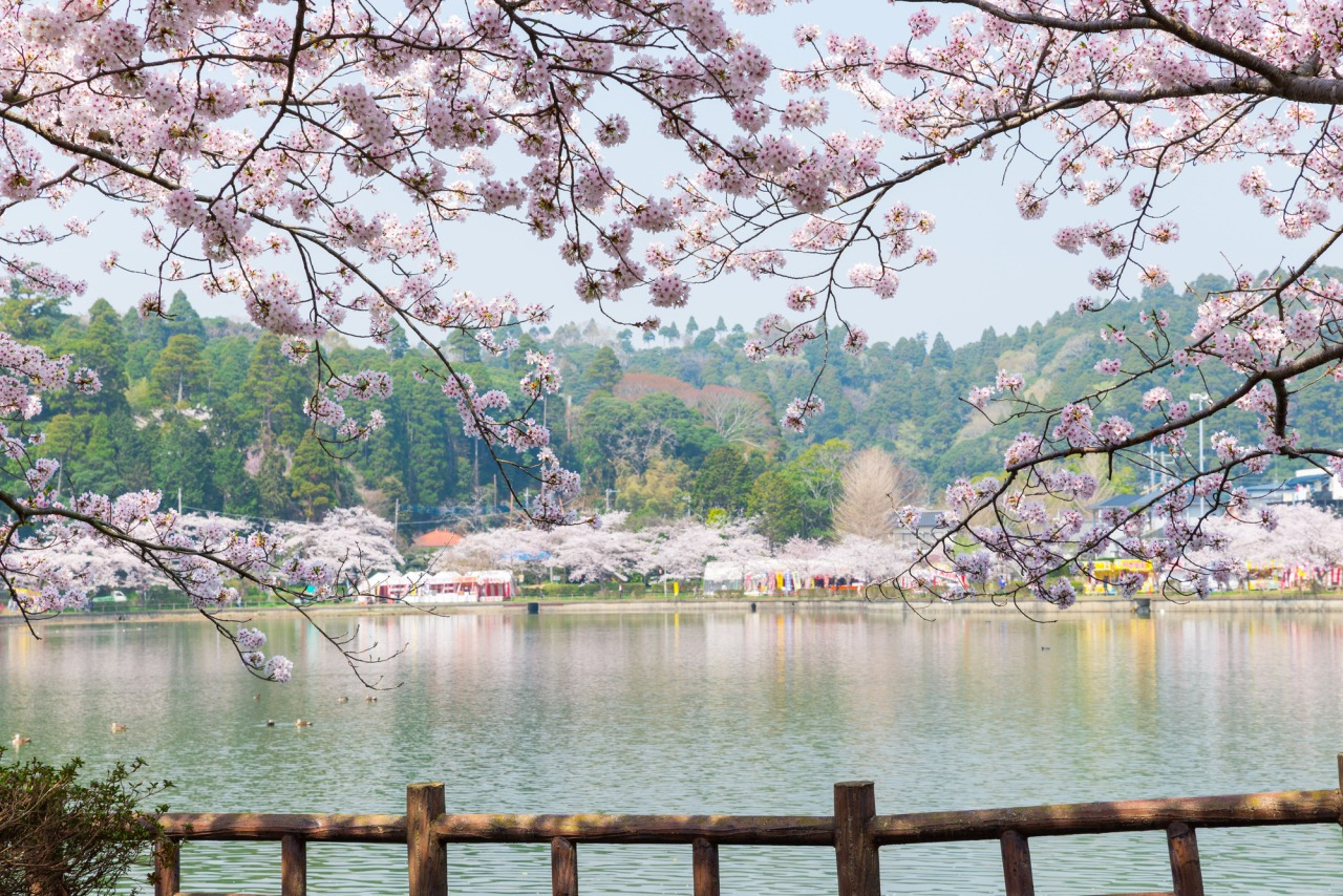 【東金市サイクリング】魅力を満喫！東金周遊サイクリングコース