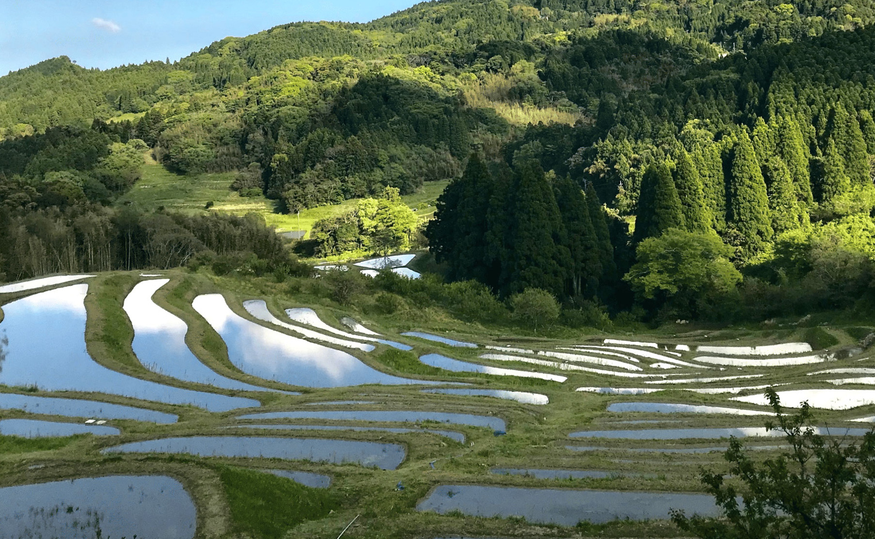 都心から約90分の“日本の原風景”。千葉・鴨川の里山エリアで楽しむ古民家宿＆カフェ5選