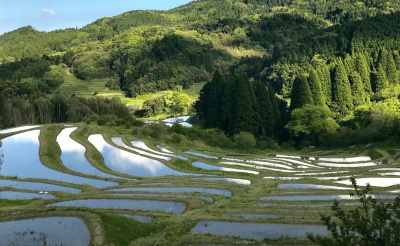 都心から約90分の“日本の原風景”。千葉・鴨川の里山エリアで楽しむ古民家宿＆カフェ5選