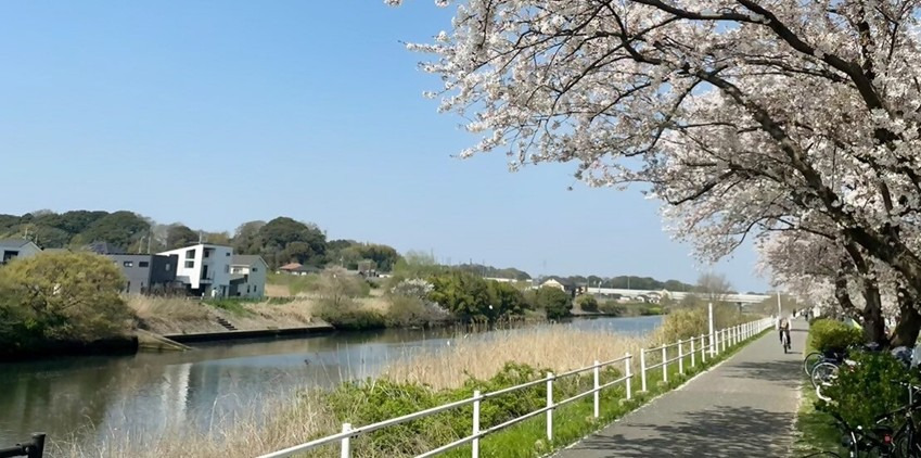 【千葉市サイクリング】花見川サイクリングコース