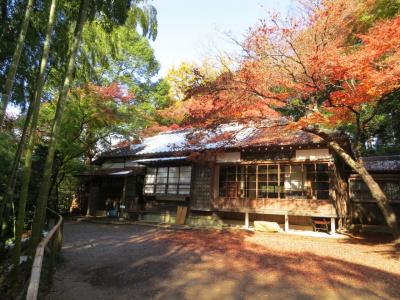 【我孫子市サイクリング】文化満喫サイクリングコース