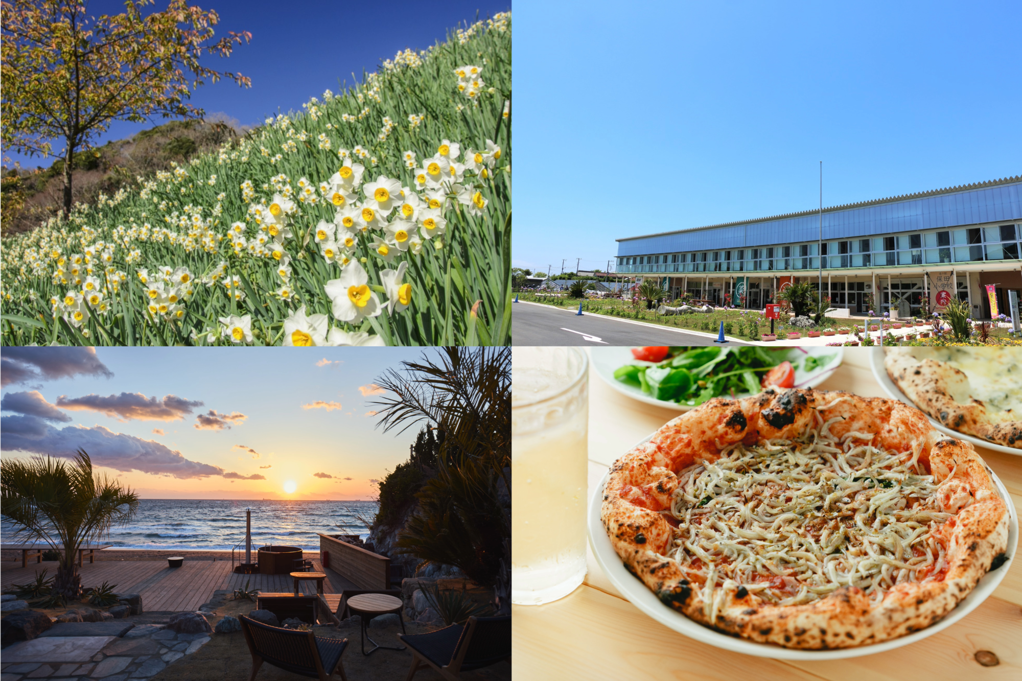 鋸南町ってどんなところ？水仙・グルメ・道の駅まで徹底解説！