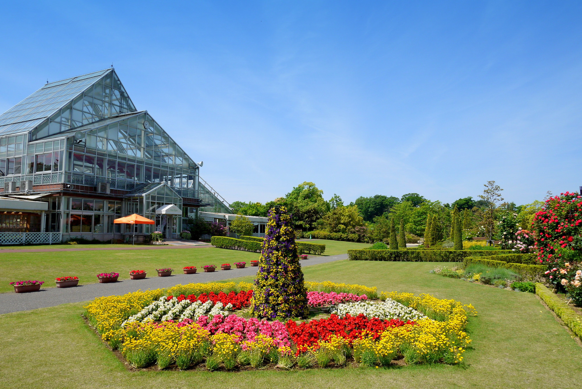 清水公園の魅力を徹底解説！