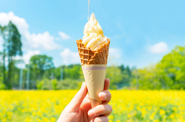 千葉のソフトクリーム・アイスクリーム特集
