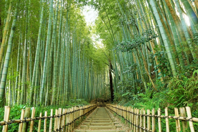 佐倉市ってどんなところ？歴史からおすすめの観光地/飲食店/お土産までご紹介します