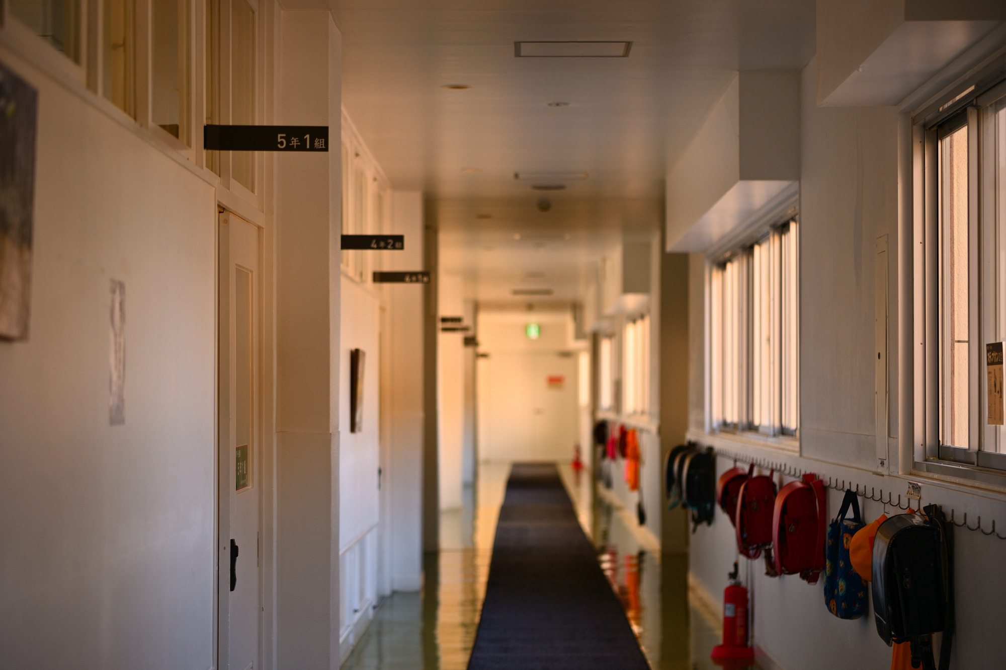 道の駅 保田小学校を徹底解説!