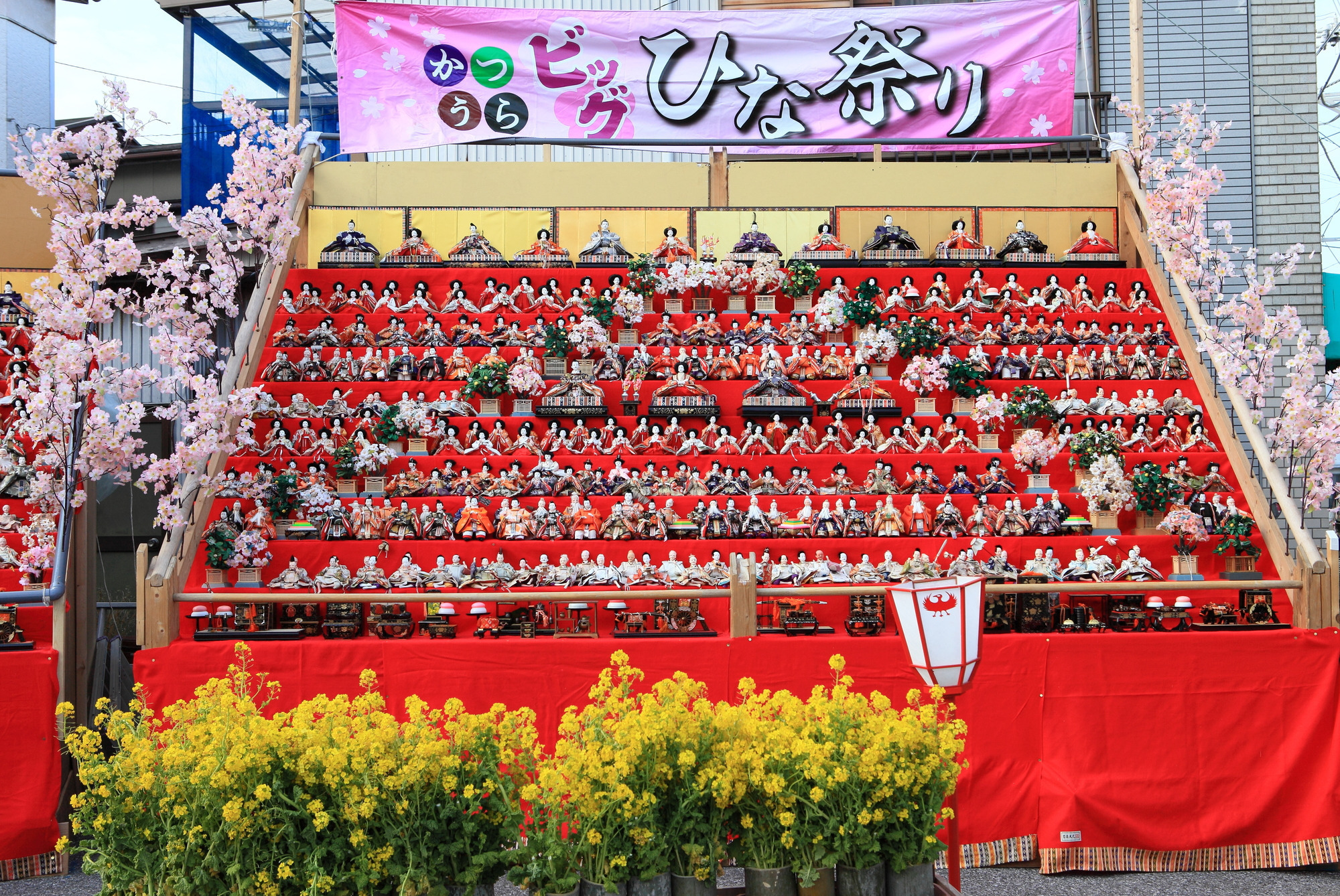 ひな祭りシーズンの盛大なイベント！かつうらビッグひな祭り徹底解説！