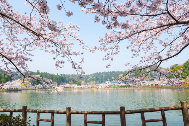 八鶴湖／東金市