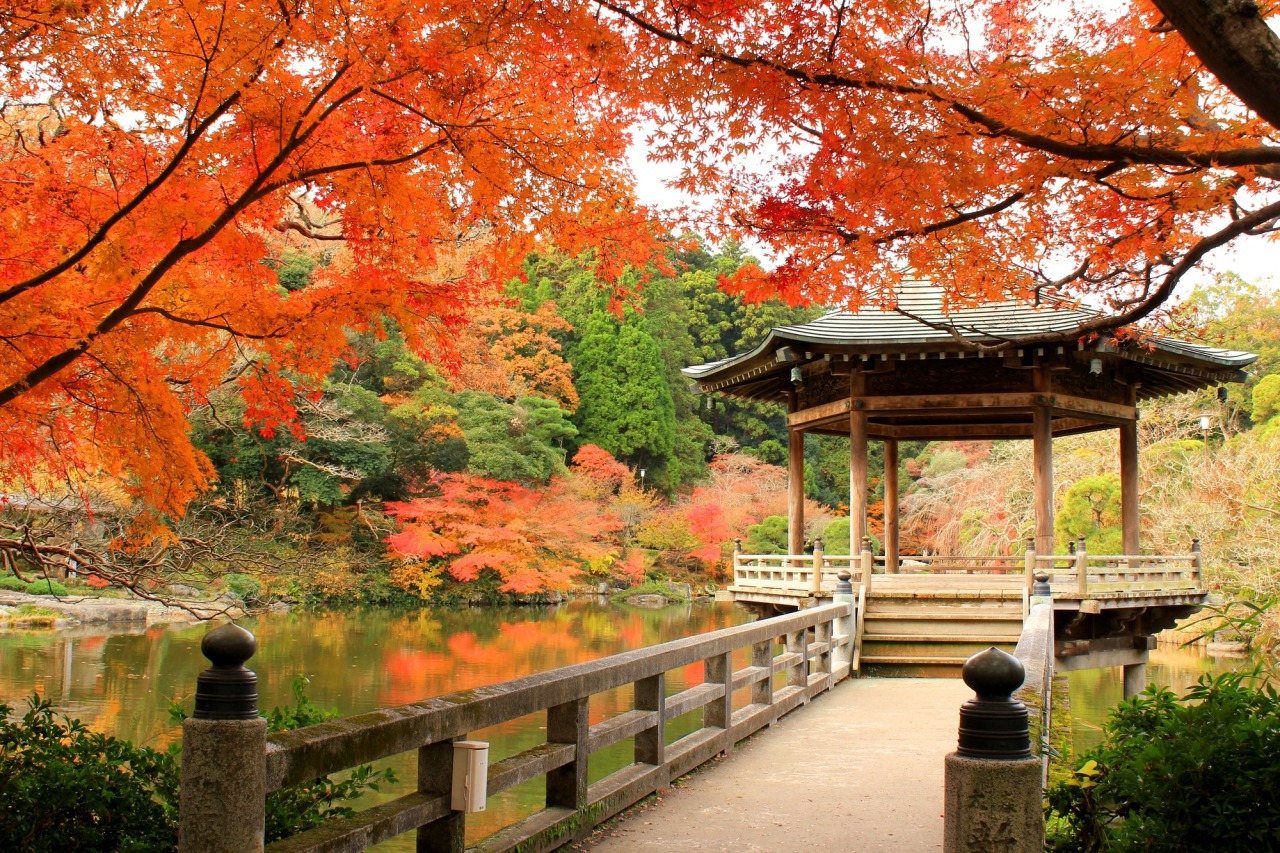 千葉の紅葉スポット特集