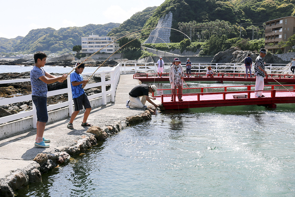 太海フラワー磯釣りセンター