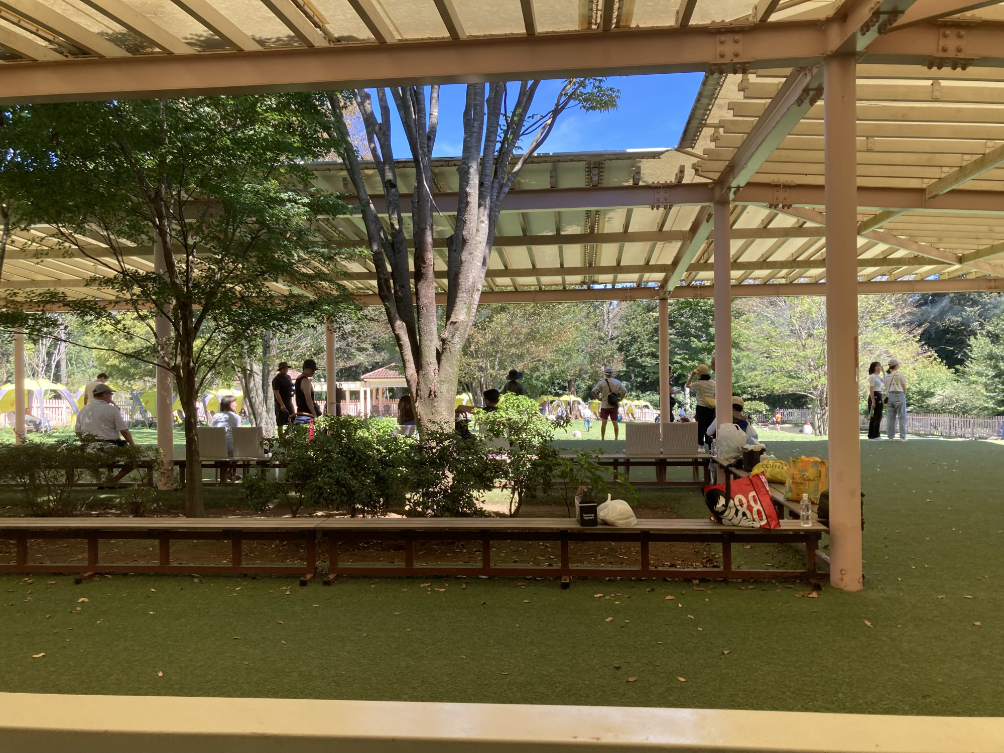 中～大型犬専用 ドッグラン