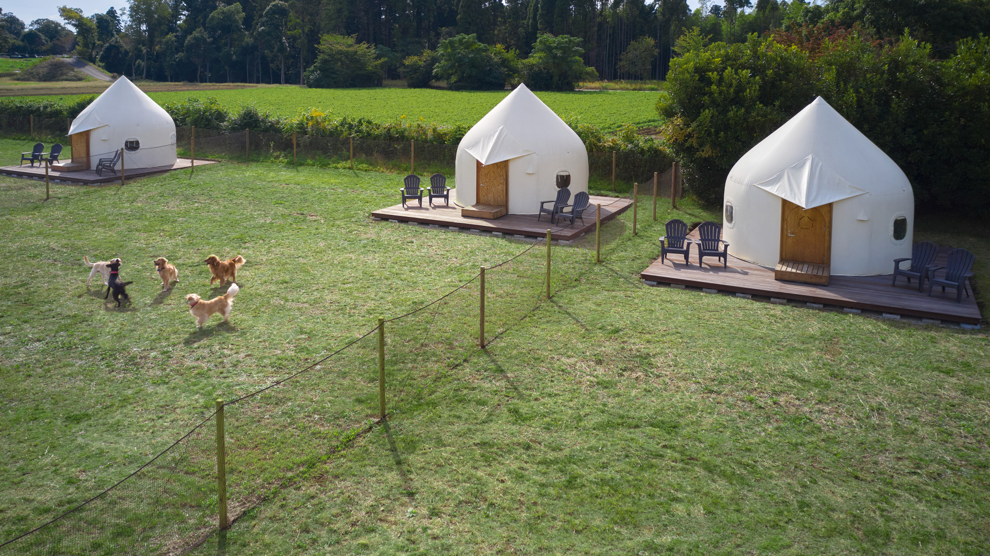 貸切用ドッグラン