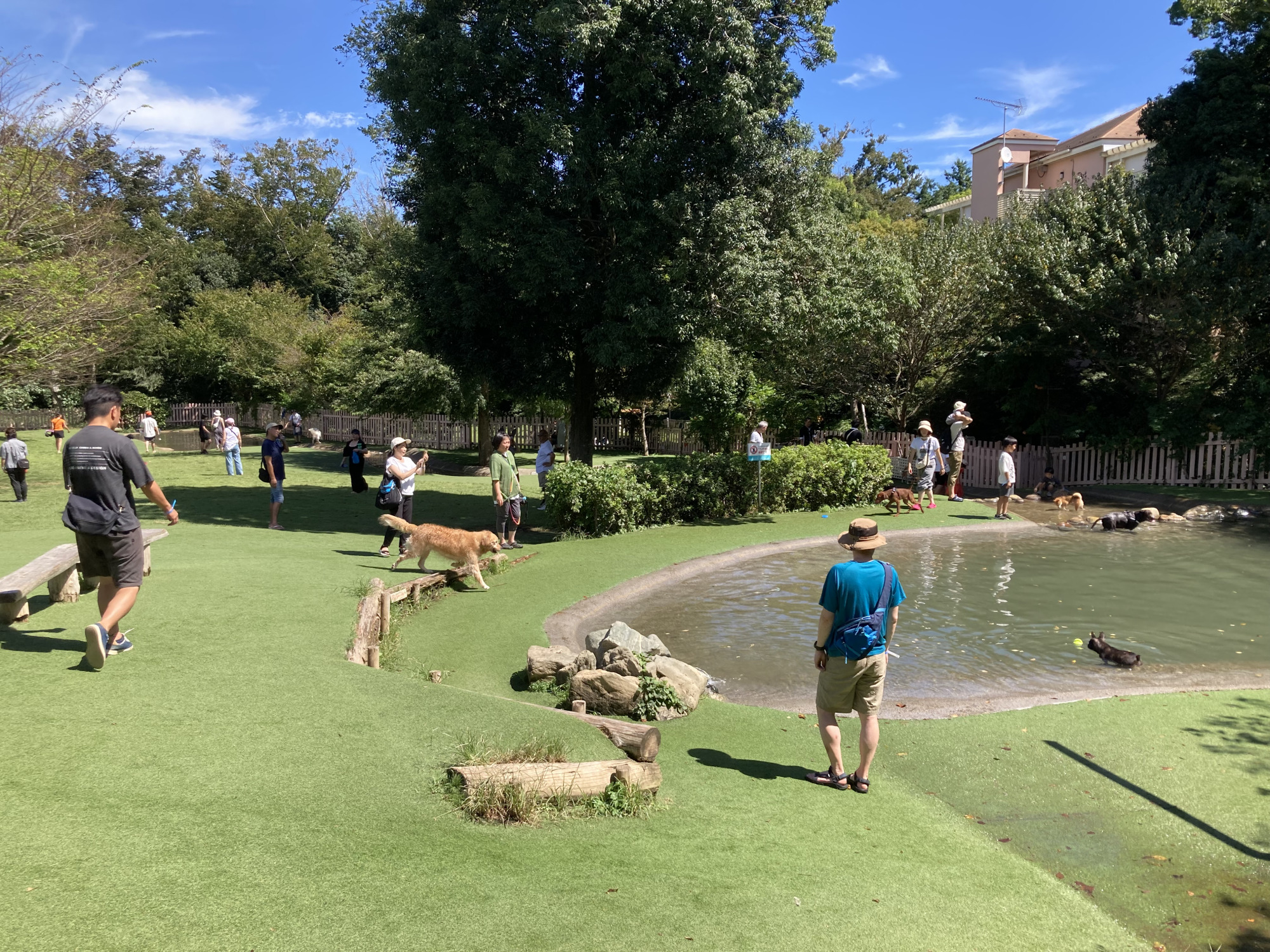中～大型犬専用 ドッグラン