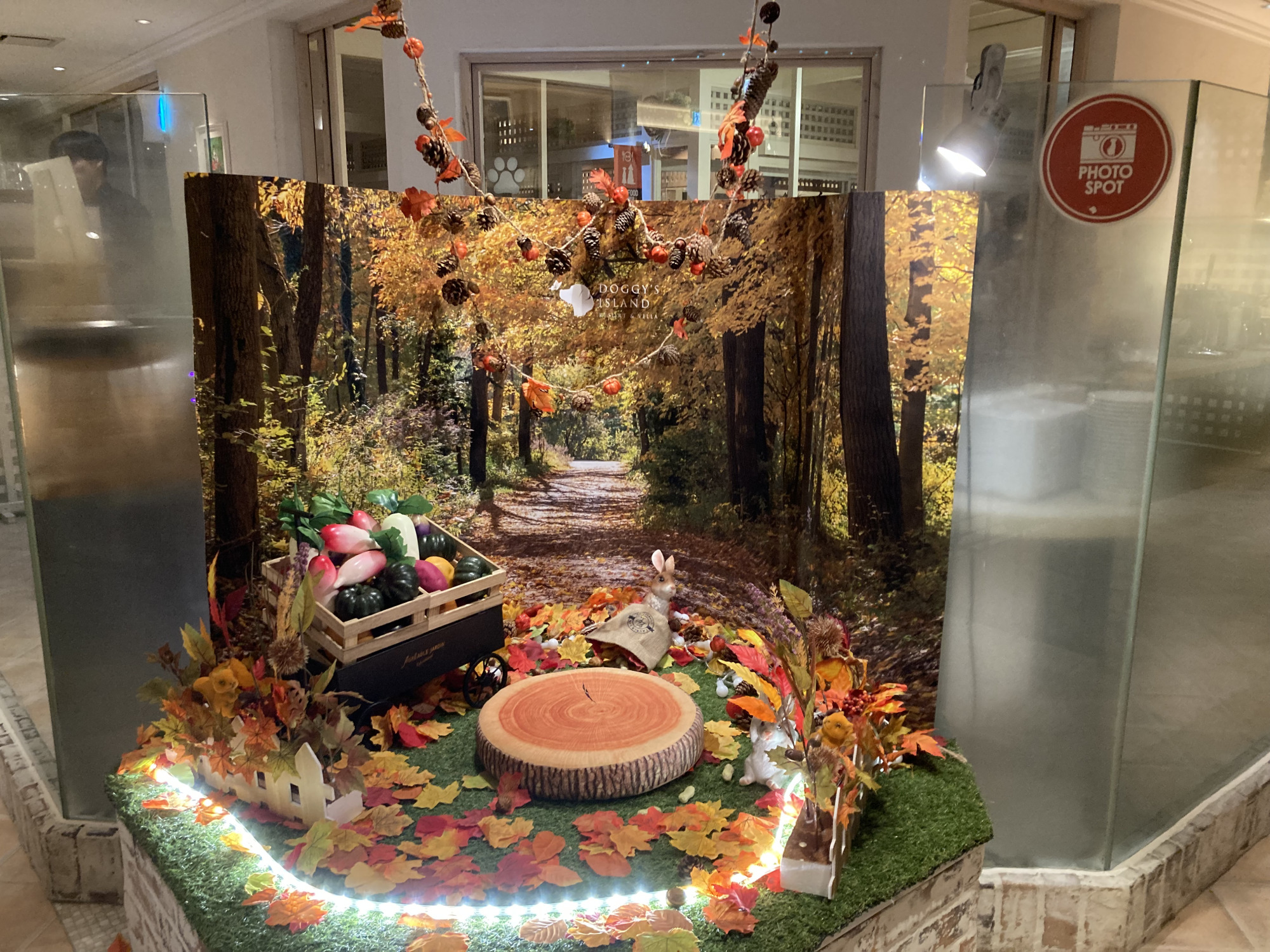 レストラン内のフォトブース（ドギーズレストラン　レイクフォレスト）