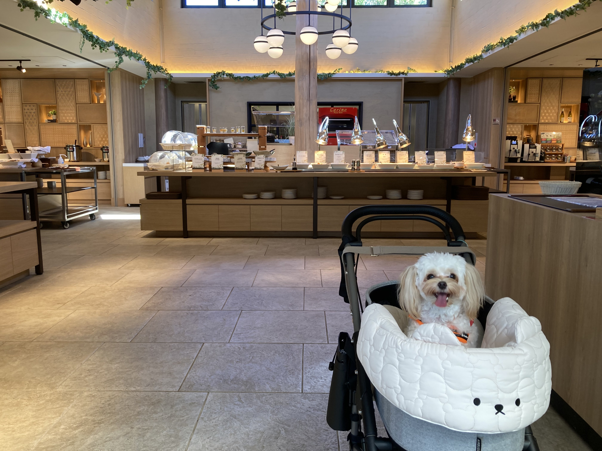 ビュッフェレストラン サウスブリーズ