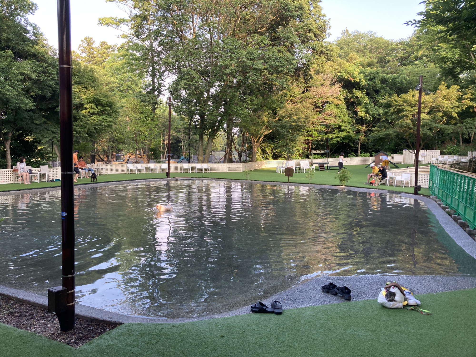 小型犬でも足がつく浅瀬と、泳ぎに挑戦できる深さのエリアがあります（フォレストガーデンじゃぶじゃぶ池）