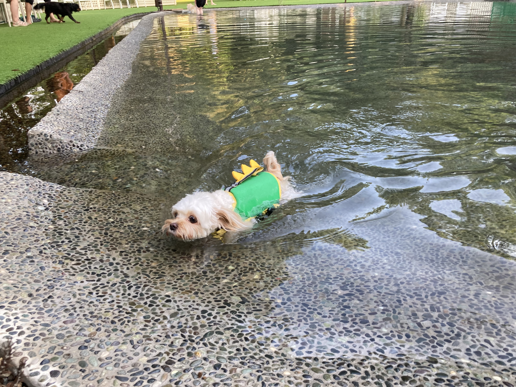 ゆるやかなスロープで、水遊びデビューにも◎