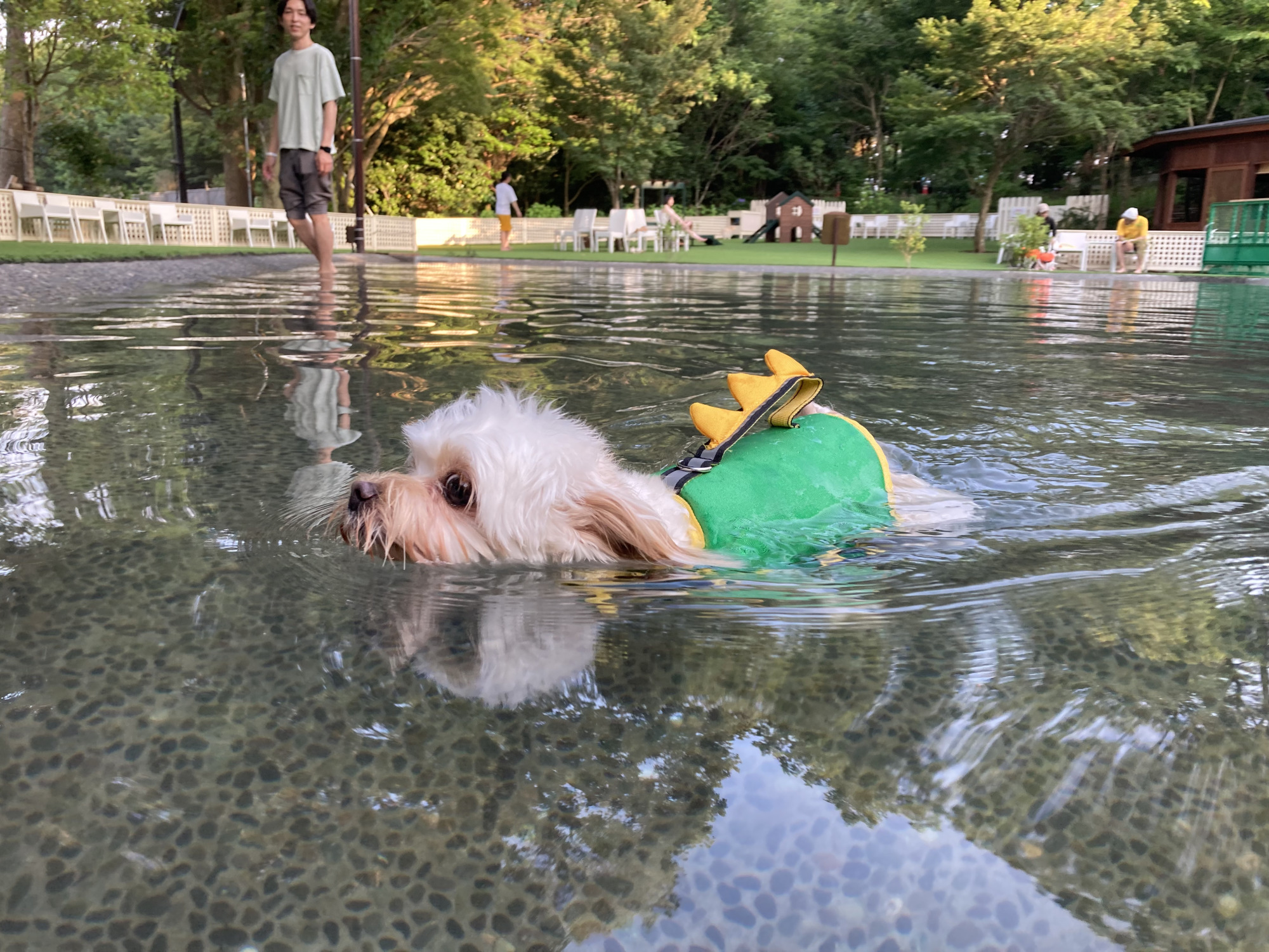 フォレストガーデンじゃぶじゃぶ池（小型犬専用エリア）