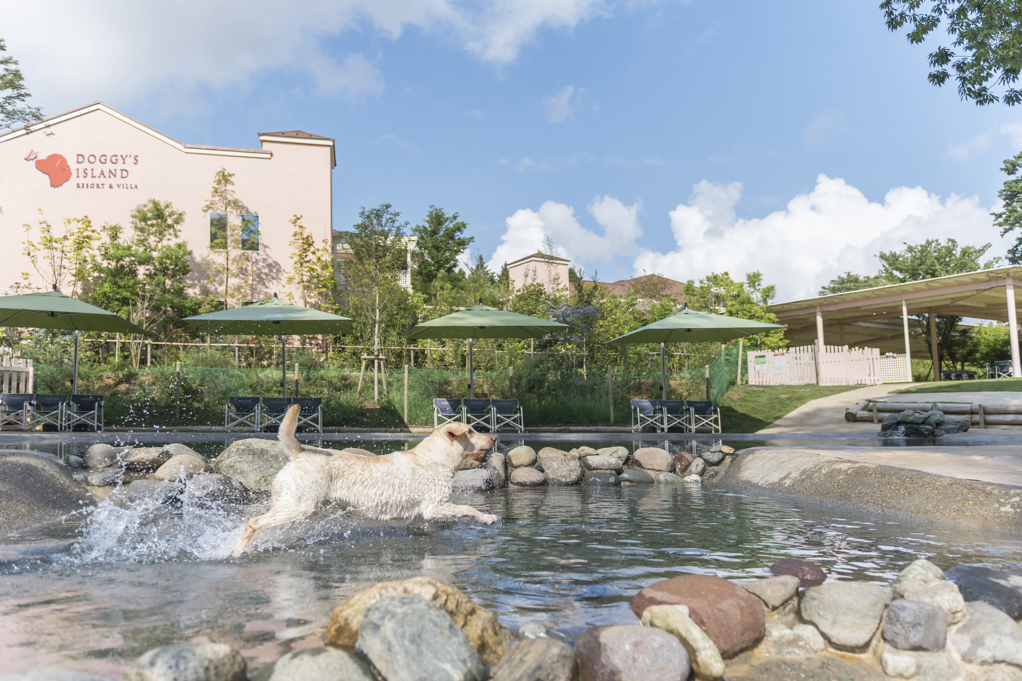 本館じゃぶじゃぶ池（宿泊犬専用）