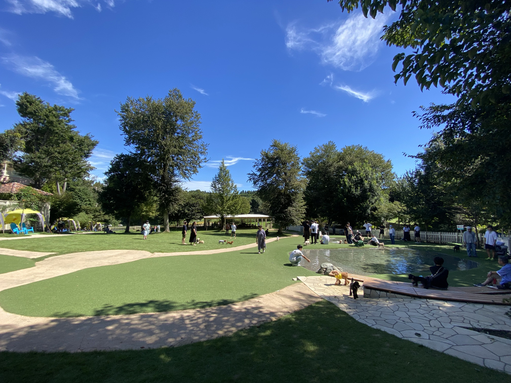 小型犬専用ドッグラン内