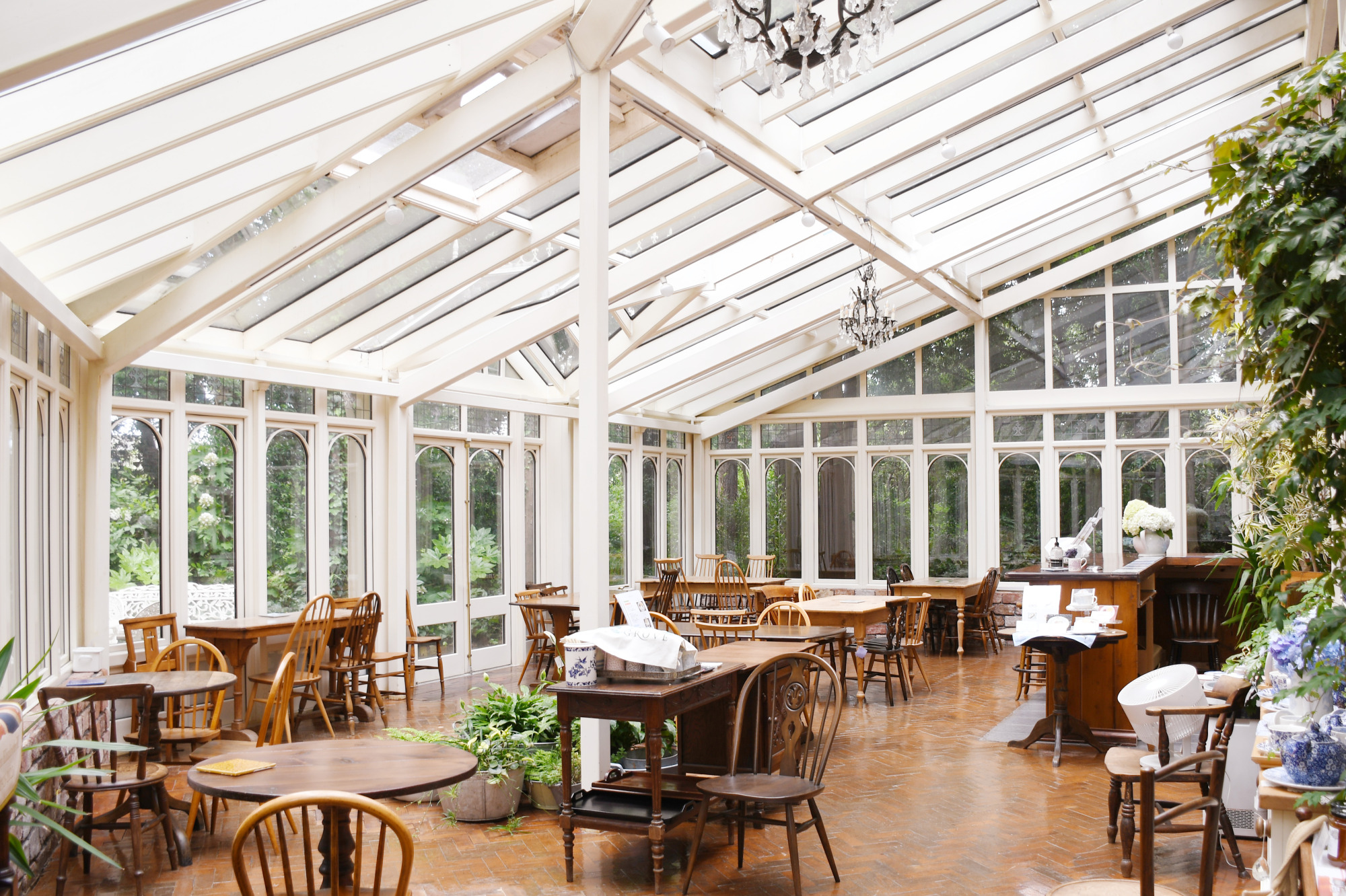 窓が大きく優しい光が差し込むティールーム