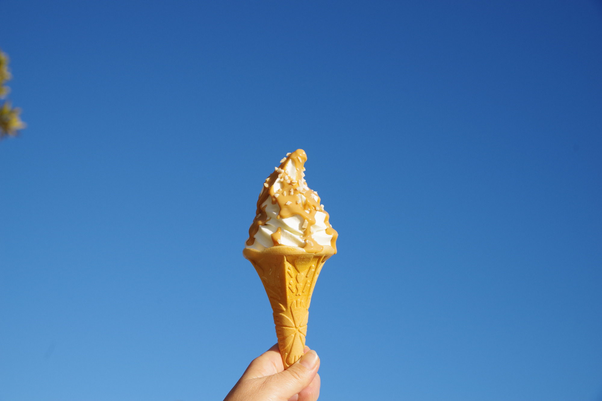 “食”にも宿るクラフトマンシップ①「Bocchi」＠旭市
