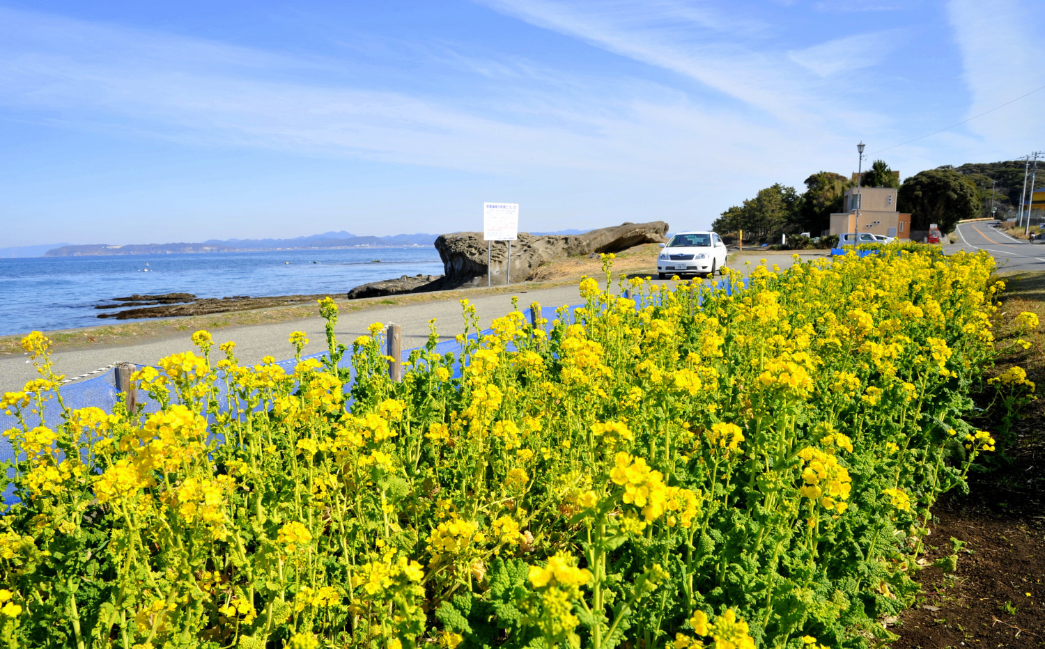 房総フラワーライン（日本の道100選）