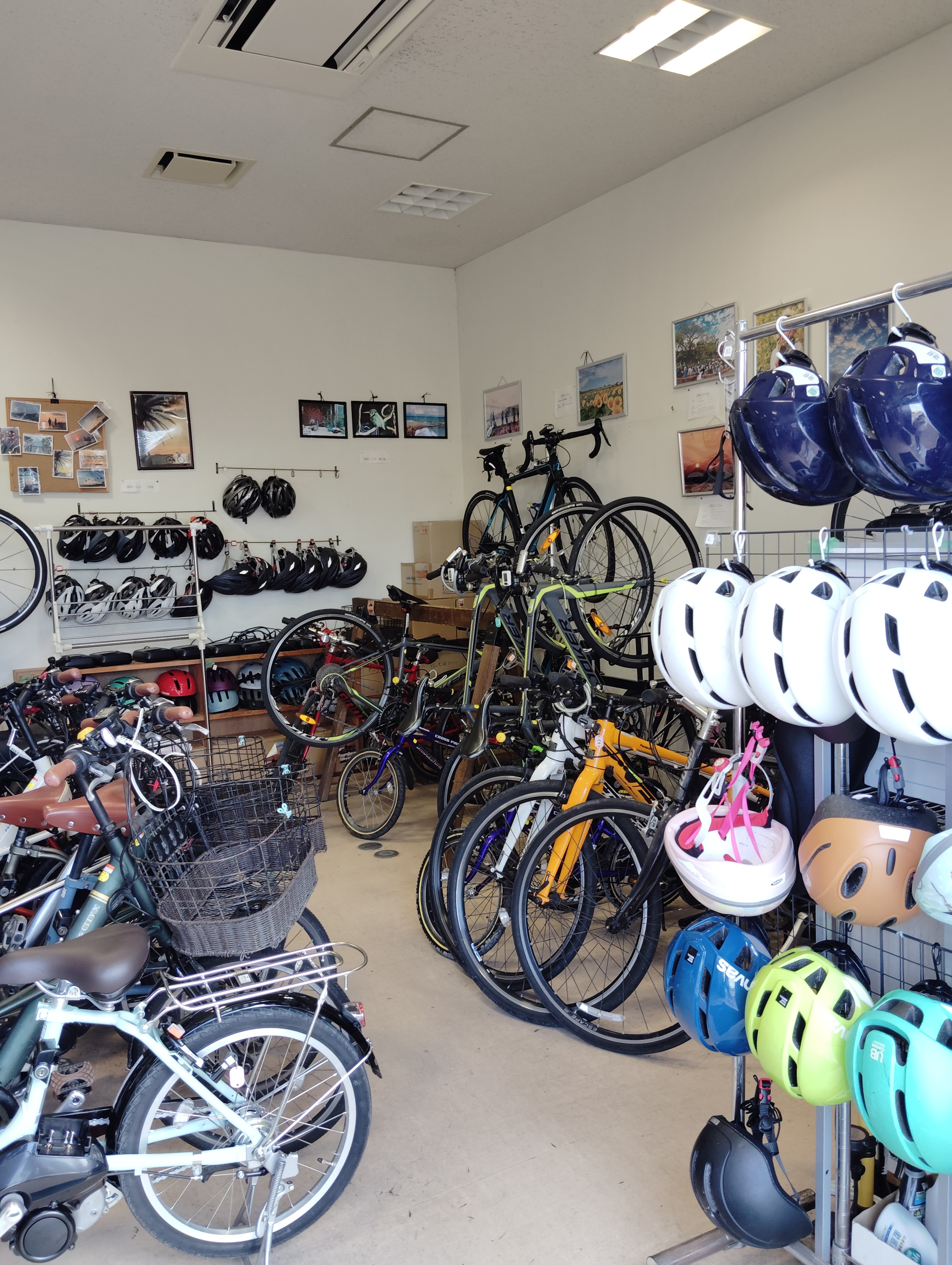 気軽に楽しむレンタサイクル