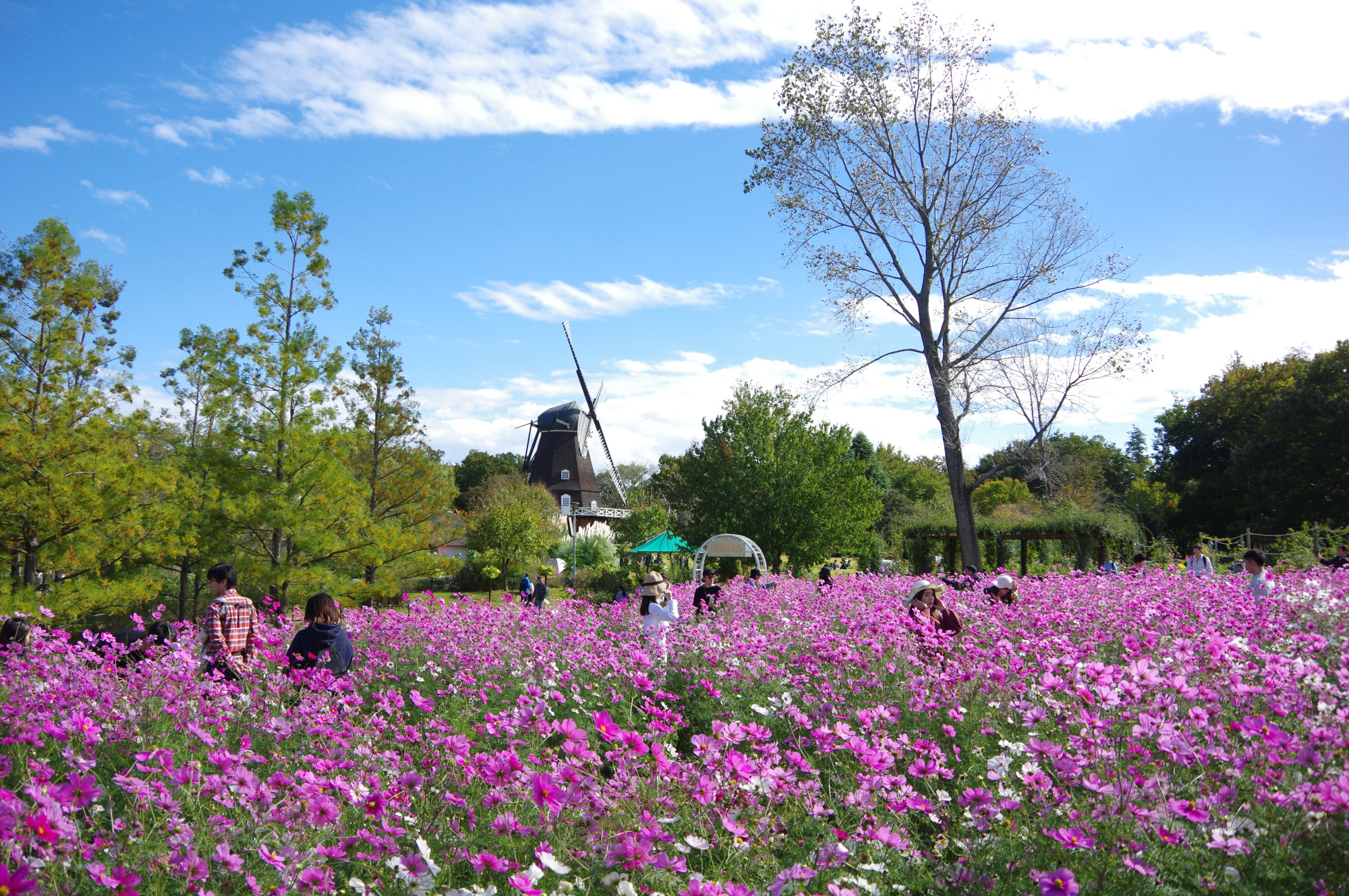 訪れるたび違った表情を見せてくれるのも魅力
