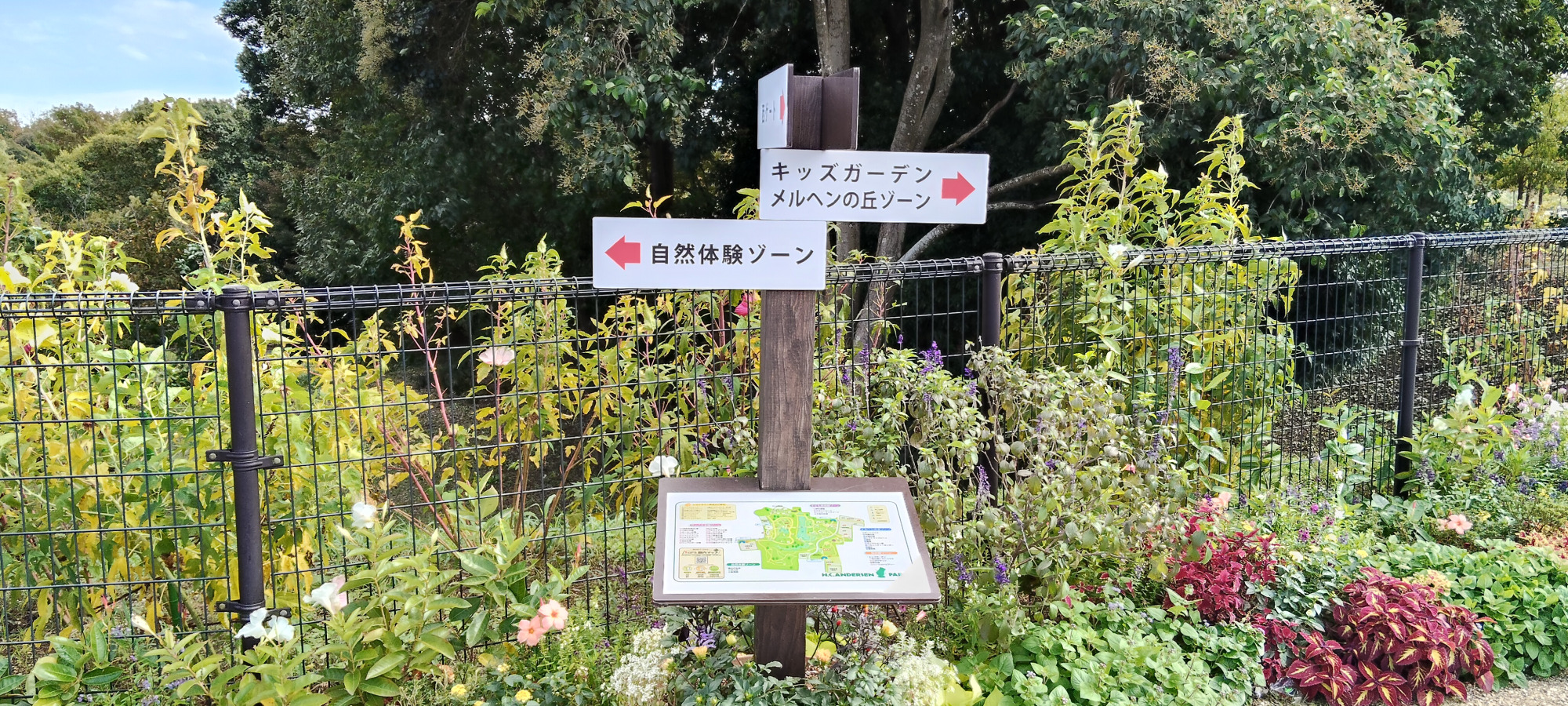 とにかく広い園内！事前にプランを立てておくとスムーズです